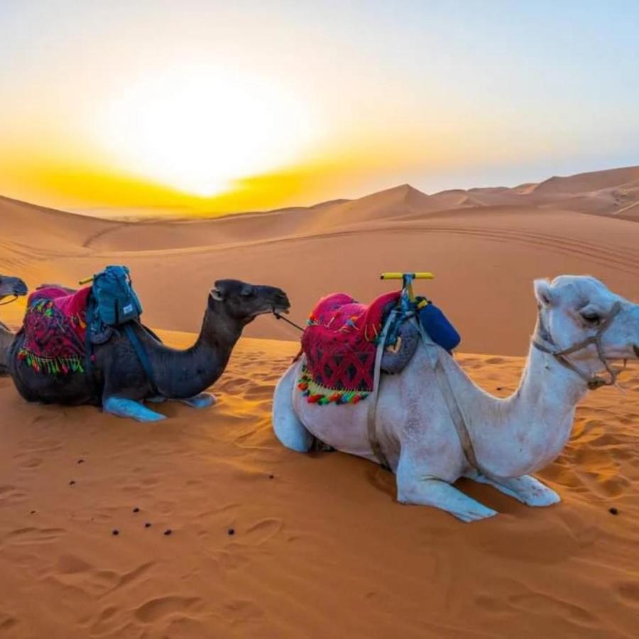 Merzouga Heart Camp ภายนอก รูปภาพ